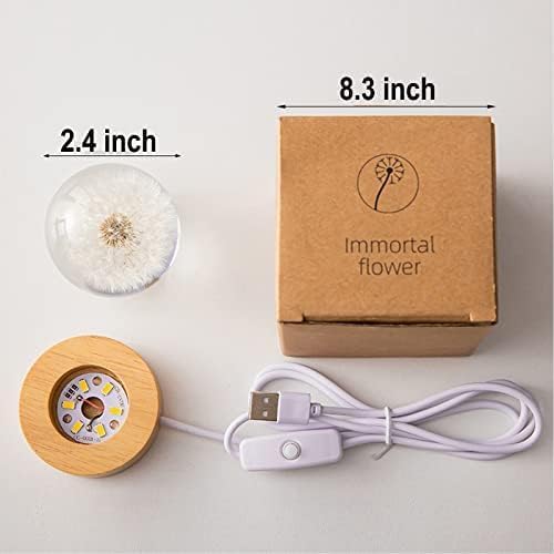 Flower Crystal Ball Night Light,2.4 inch Glass Ball Night Lamp with Woodern Base (Red Daisy)-VerdiqueGarden