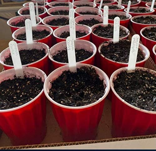 Delatanus 200PCS Plant Labels 4.7inch Plant Markers,White-VerdiqueGarden