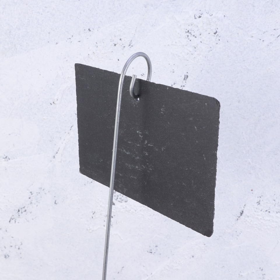 Hemoton Flower Decor Plant Label,Garden Markers Signs,Garden Marker Label Plant,Weatherproof Reusable Natural Hanging Tags for Flower Bed Pots Planters-VerdiqueGarden