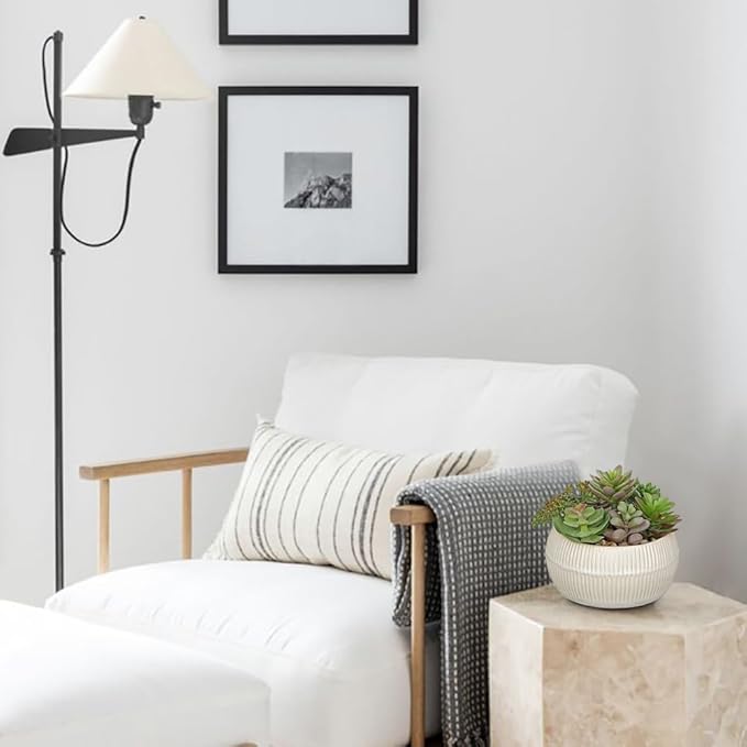 DILATATA Artificial Succulent Plants in Pot 5.5 Inch Fake Succulents Arrangement Potted Plant in White Ceramic Planter Bowl for Home Office Desk Shelf Living Room Bedroom Bathroom Decor-VerdiqueGarden