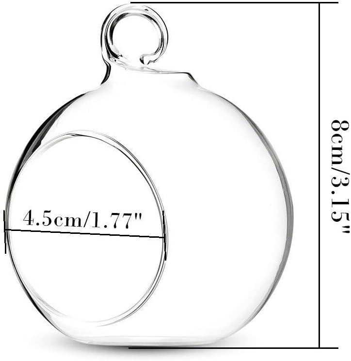 Sziqiqi 3.15" Glass Globes Glass Bulbs Hanging Tea Light Holder Terrarium Container Wedding Centerpiece Backyard Decoration Christmas Ornaments 20pcs+4 Extra-VerdiqueGarden