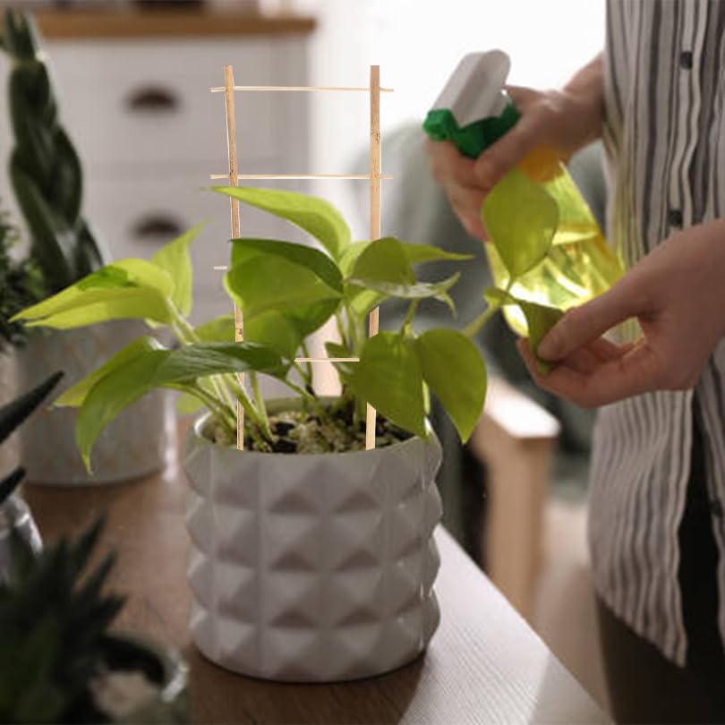 Natural Bamboo Trellis 16inch for Climbing Plants 6 Pack - Plant Ladder Trellis with Garden Ties, Outdoor Decorative Plant Support Stakes for Vines Flowers Vegetables (Ladder-Shape)-VerdiqueGarden