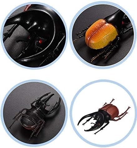 Hiawbon 5.5 inch Fake Beetle Simulated Beetle Model Realistic Plastic Beetle Figures for Fairy Garden Decoration, Set of 6-VerdiqueGarden