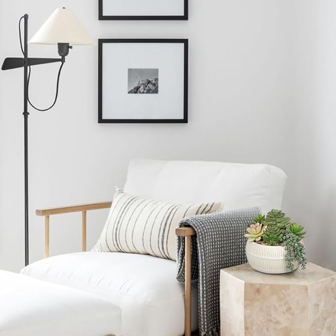 DILATATA Artificial Succulent Plants in Pot 5.5 Inch Fake Succulents Arrangement Potted Plant in White Ceramic Planter Bowl for Home Office Desk Shelf Living Room Bedroom Bathroom Decor-VerdiqueGarden