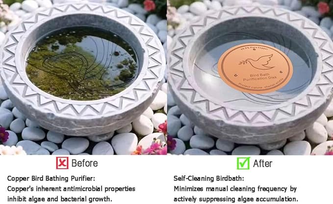 2Pack Bird Bath Copper Purification Disk | 0.6mm Reinforced 99.9% Pure Copper | Universal Fit for Outdoor Birdbaths(Birdbath Copper 2 Pack)-VerdiqueGarden
