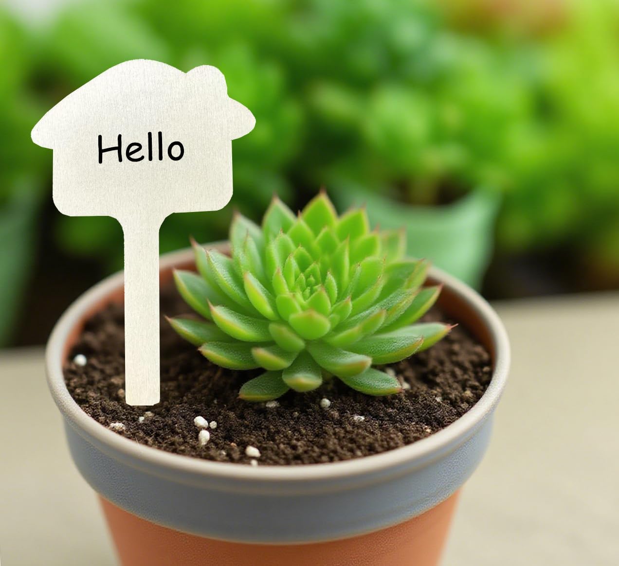 100 Pcs Wood Plant Labels, Natural Wooden Plant Marker Garden Sign Tags, T-Type Garden Markers for Succulents, Herbs, Seedlings, Potted, Flowers, Vegetables (House)-VerdiqueGarden