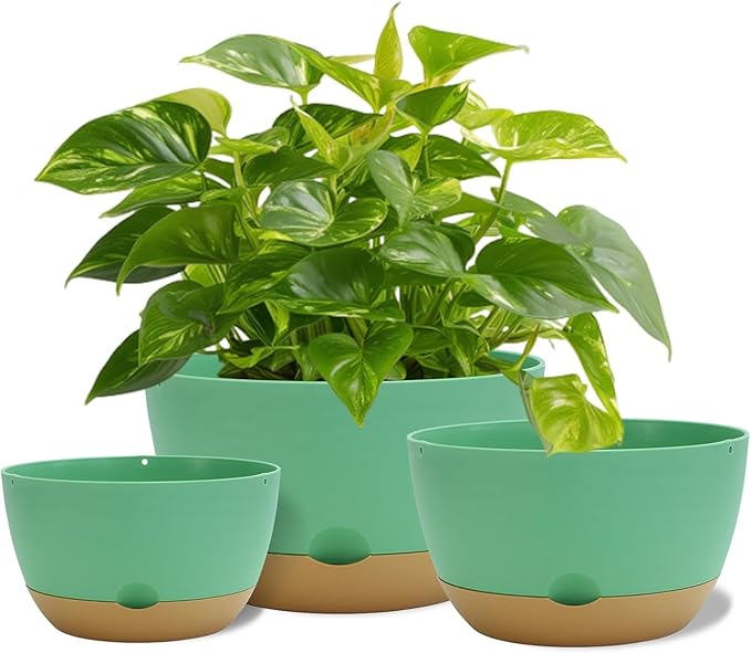 12 Inch Pots for Indoor Plants, Large Self Watering Planters with Drainage and Saucers, Plastic Outdoor Flower Pot, Set of 2, Green-VerdiqueGarden