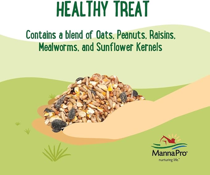 Manna Pro Farmhouse Favorites Oat & Mealworm Mix Poultry Treat – Natural Protein Source – Encouraging Poultry Treat – Mix of Oats, Peanuts, Raisins, Mealworms, Sunflower Kernels – 2lbs-VerdiqueGarden