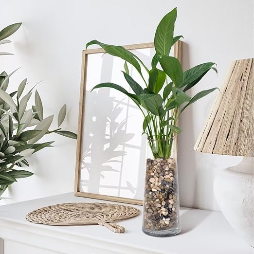 10 lbs Pebbles for Indoor Plants, Succulent, Bamboo, Vase, 3/8" Plant Rocks for Pots Indoor, Small River Rocks Decorative Pea Gravel, Highly Polished-VerdiqueGarden