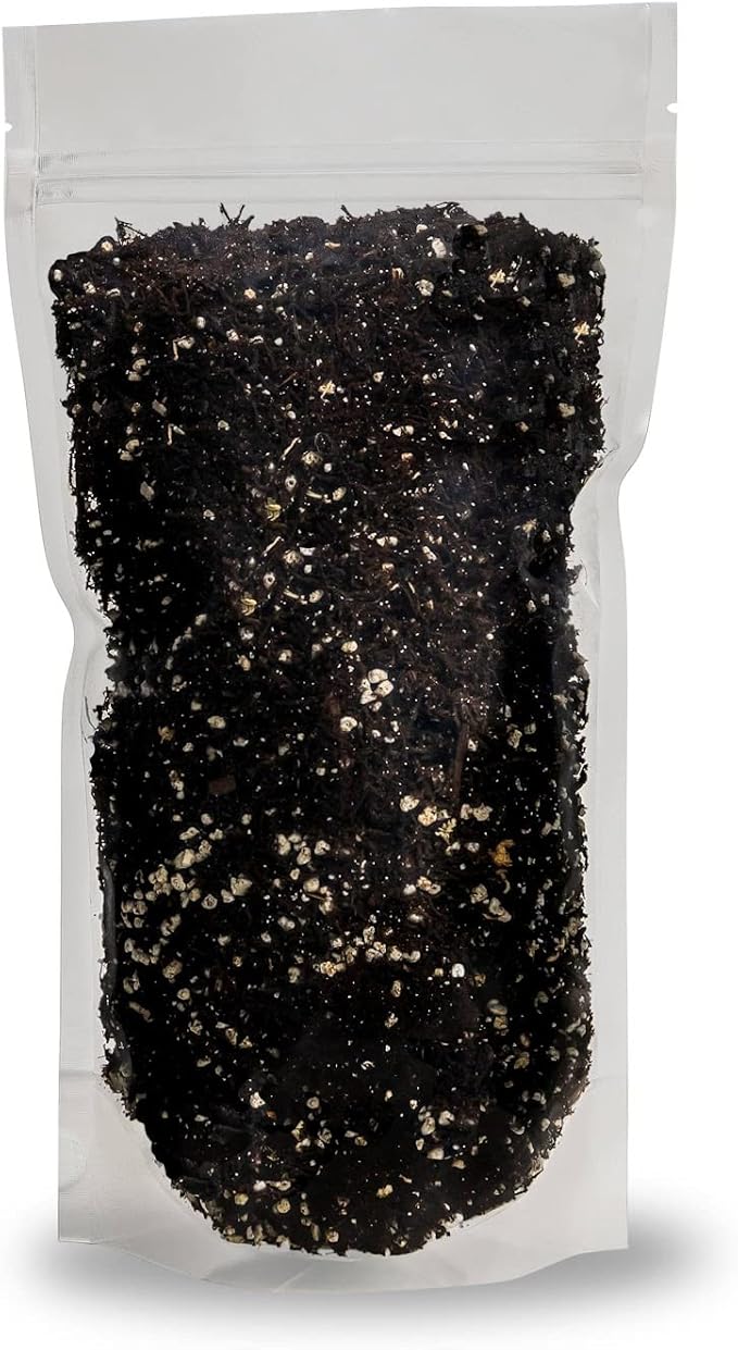 Fern + Perlite Soil Mix for Repotting and Planting Succulents and Cactuses - 4 Quart Bag-VerdiqueGarden