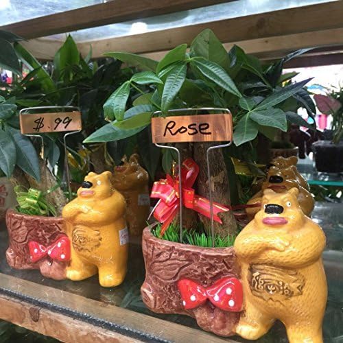 Pack of 30 Copper Plant Labels for Garden, Metal Plant Markers Nameplate, Plant Tags for Outdoor and Potted Plants (5" x 2.6")-VerdiqueGarden