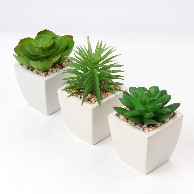 Hollyone Succulents Plants Artificial 3Pcs Small Fake Succulents in Pots Faux Plastic Potted Plants with White Ceramic Pot for Home Decor Classroom Office Bathroom Shelf Indoor & Outdoor Decorations-VerdiqueGarden