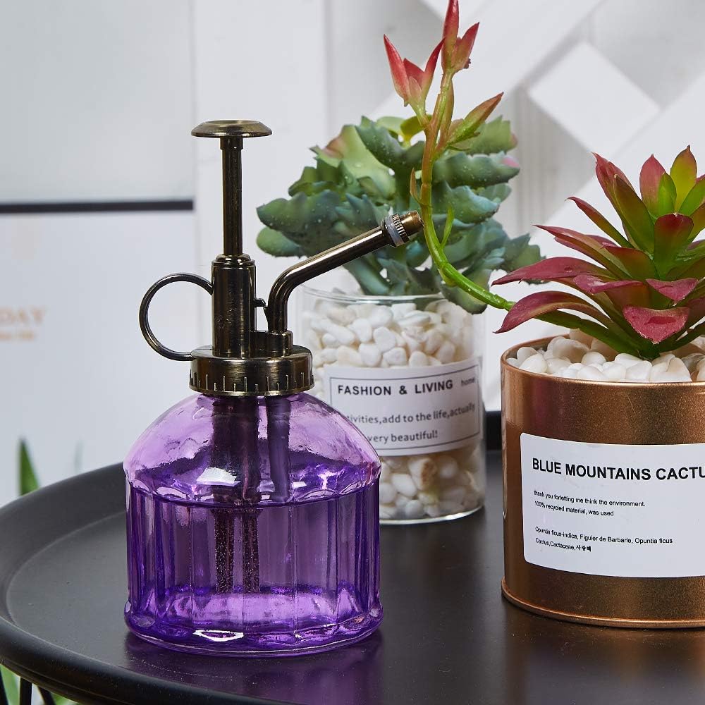 Glass Plant Mister Spray Bottle, Vintage Plant Spritzer Sprayer Mister, Succulent Watering Bottle with Top Pump, Small Glass Watering Can for Indoor Outdoor Houseplant - Purple-VerdiqueGarden