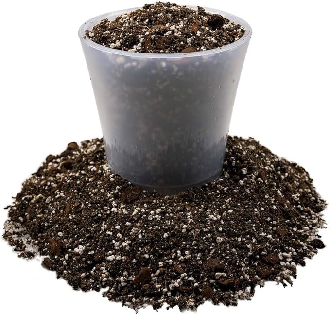 Premium Dahlia Potting Soil Mix - Ideal for Growing Vibrant and Healthy Dahlias - 4 Quart-VerdiqueGarden