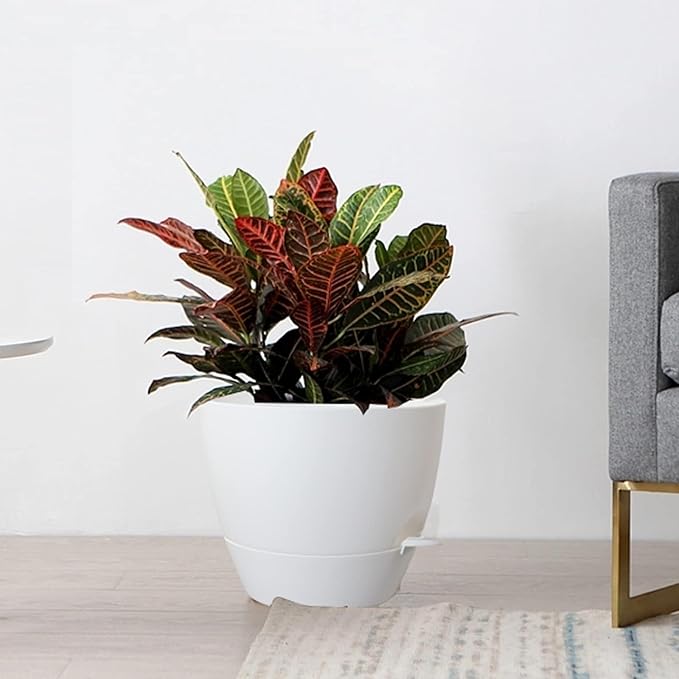 10/9/8 inch Self Watering Pots, Set of 3 Plastic Planters with Mesh Drainage Holes and Deep Reservoir for Indoor Outdoor Garden Plants and Flowers, White-VerdiqueGarden