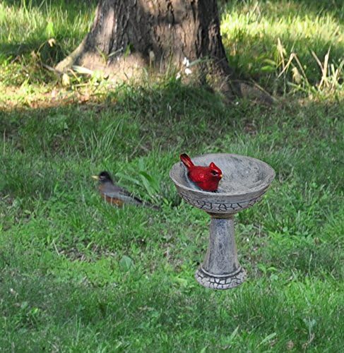 G & F Products MiniGardenn 10027 Fairy Garden Polyresin Miniature, Cardinal Birdbath Pick-VerdiqueGarden