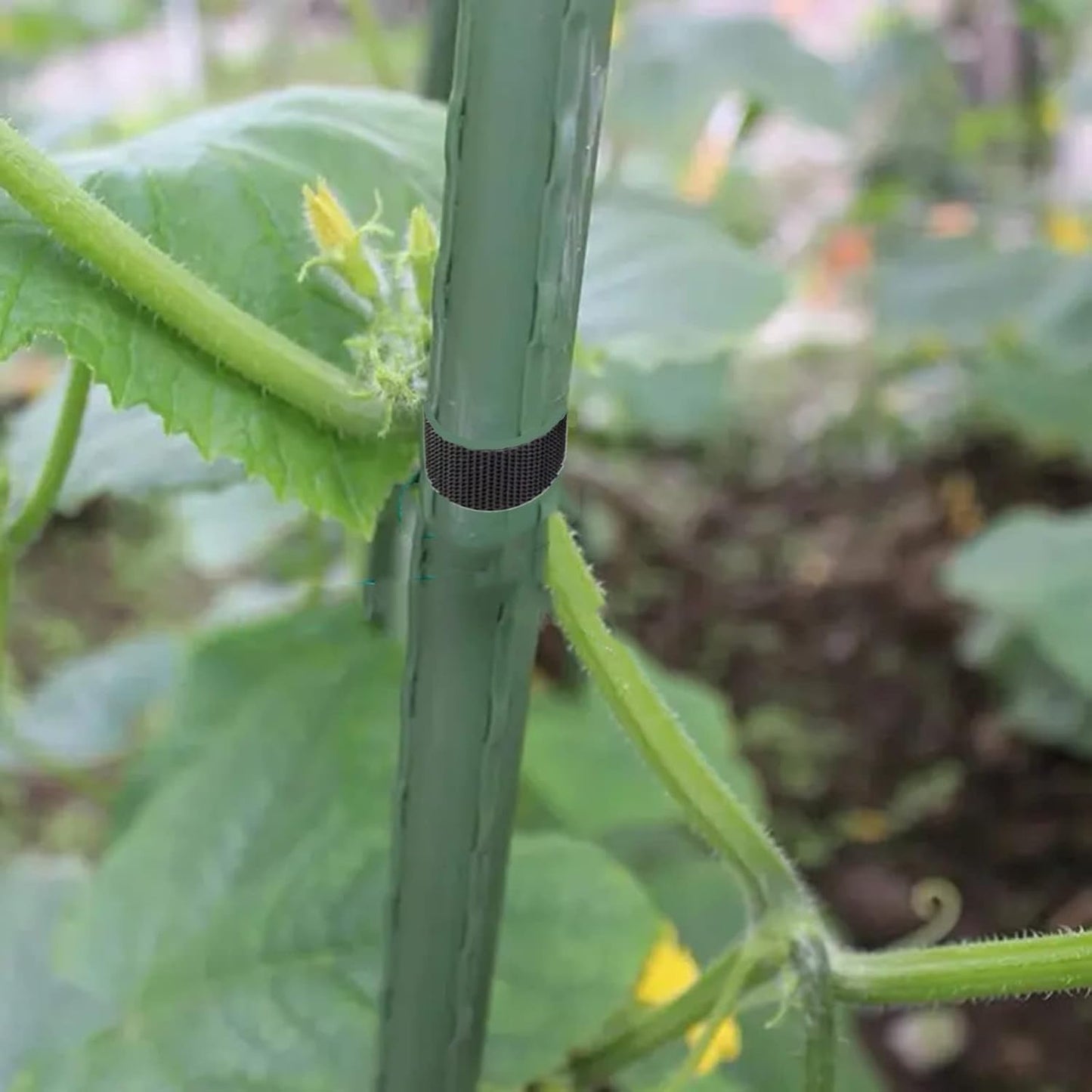 Plant Ties 65.6 Feet, Plant Tape Reusable Nylon Hook and Loop Tape, Garden Strap for Climbing Plants Supports, Tree Ties for Flower Vine Tomato Branches, Cable Wire (Black)-VerdiqueGarden