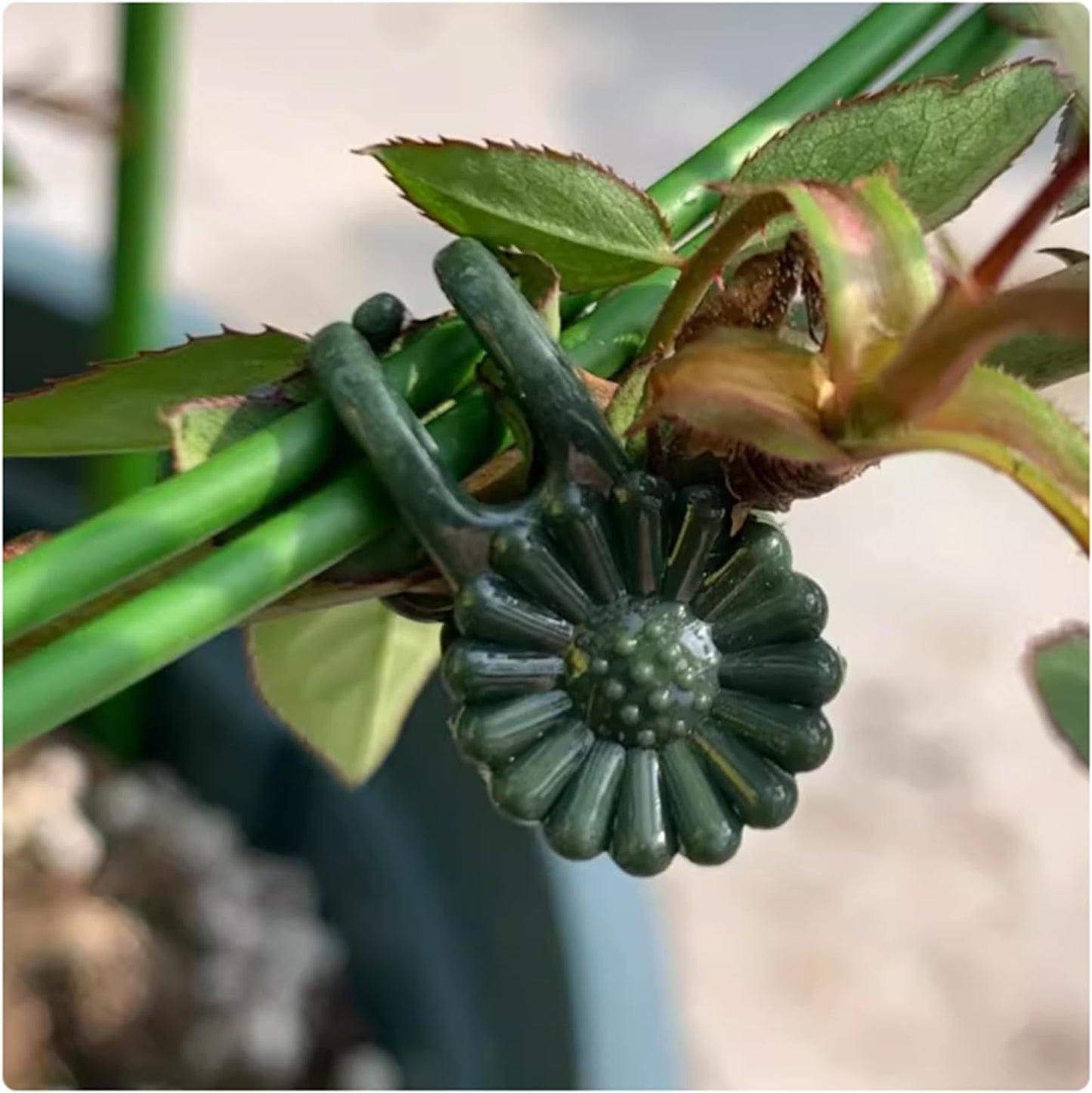 100Pcs Large Plant Clip,Daisy Garden Flower Plant Clip,for Orchids Vine Clip Support Stem Vine Upright Growth (Green)-VerdiqueGarden