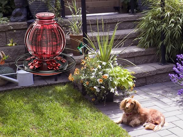 Glass Hummingbird Feeder for Outdoors Hanging, 26Oz Bird Nectar Feeder with Perch & 5 Flower Feeding Ports, Leak Proof for Outside Garden Decor Backyard, Gifts for Women Mom, Red-VerdiqueGarden