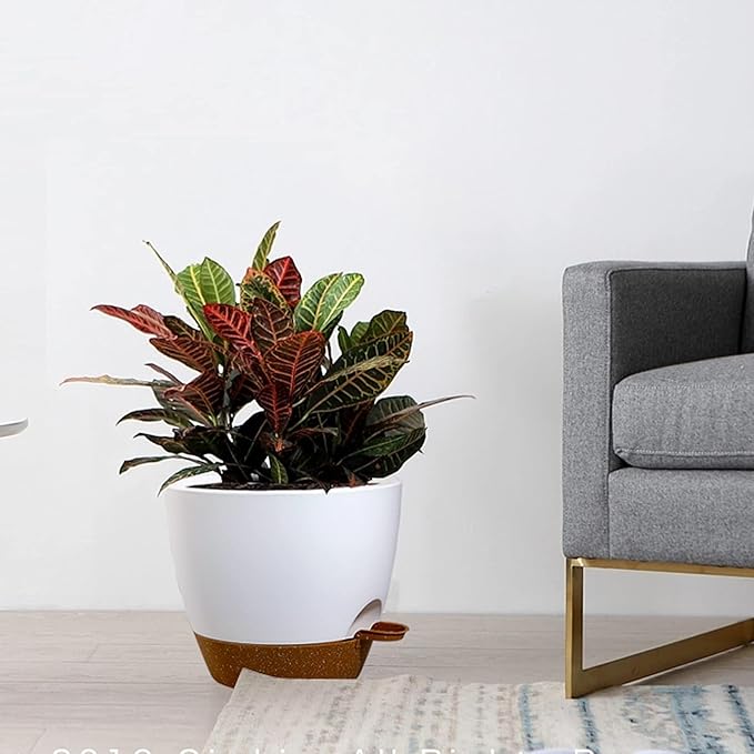 10/9/8 inch Self Watering Pots, Set of 3 Plastic Planters with Mesh Drainage Holes and Deep Reservoir for Indoor Outdoor Garden Plants and Flowers, White with Brown-VerdiqueGarden