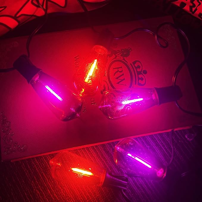 10Ft LED Outdoor String Lights, Halloween Orange Purple Lights with 10 0.6W ST40 LED Bulbs, Waterproof Connectable Patio Lights for Indoor Outdoor Backyard Garden Halloween Christmas Holiday Decor-VerdiqueGarden