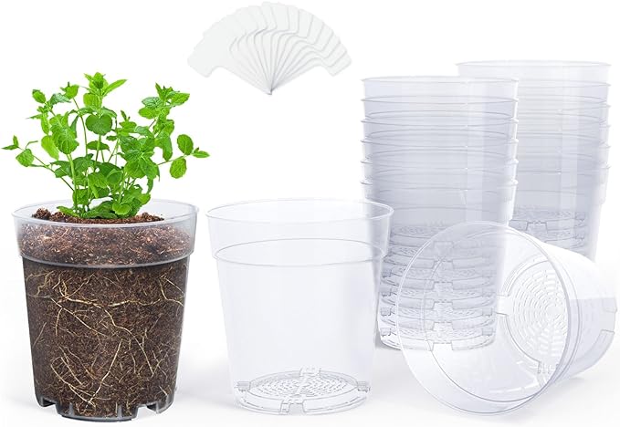 homenote Clear Nursery Pots for Plants,7 Inch Plant Pot for Planting Plastic Seedling with Drainage Holes Seed Starter Flower High Transparency with 20 Labels (15 Pack)-VerdiqueGarden