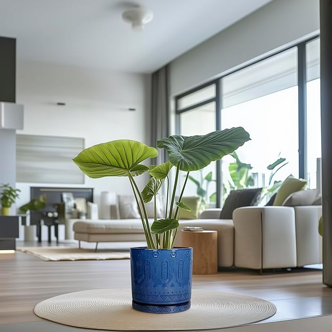 12 Inch Pot for Plants - Ceramic Planter for Indoor Plants Large Plant Pot with Drainage Holes and Saucer Outdoor Flower Pot Decorative Round Planter for Porch Office Decor Blue-VerdiqueGarden