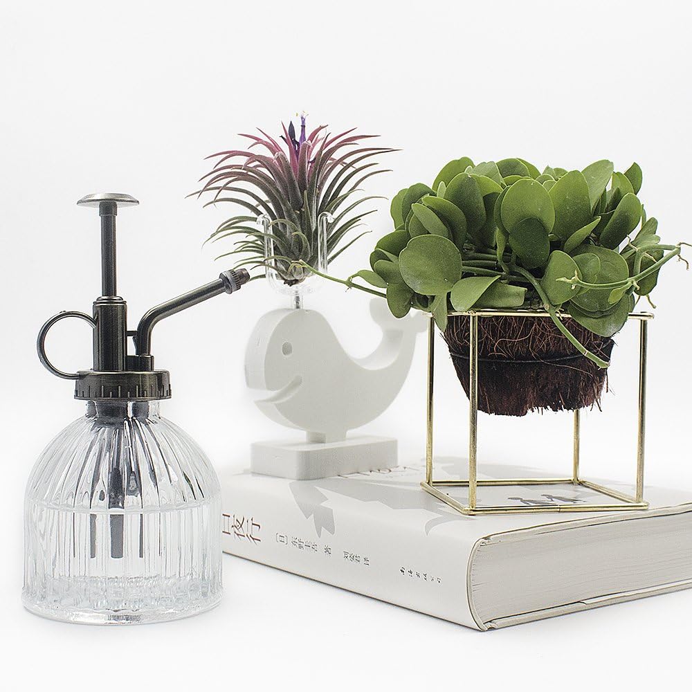 Glass Plant Mister Water Spray Bottle, 200 ML Glass Plant Spritzer Mister Bottle, Vintage Style Glass Succulent Watering Bottle with Top Pump, Plant Sprayer Mister for Indoor Plants - Clear-VerdiqueGarden