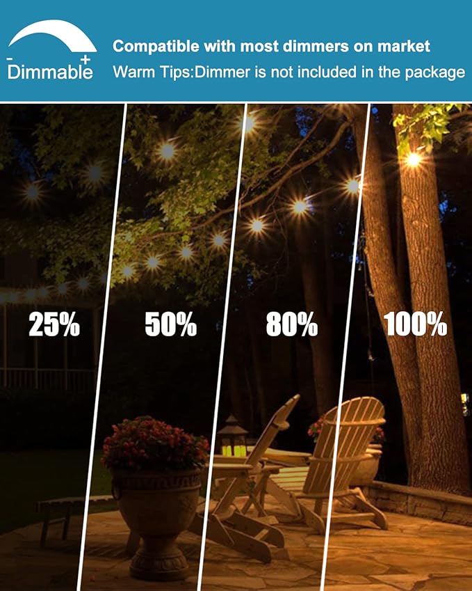 Lightdot 100FT Outdoor Led Patio Lights, ETL Listed Led String Lights with Shatterproof Edison Vitage Bulbs, Commercial Grade Hanging Light for Patio Cafe Bistro Backyard-VerdiqueGarden
