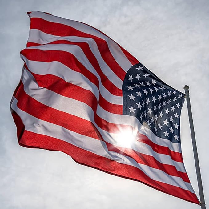 Homissor American Flag 10x15 for Outside US Flags Outdoor Heavy Duty United State USA Flag Embroidered Stars for All Weather High Wind Sewn Stripes With Brass Grommets-VerdiqueGarden