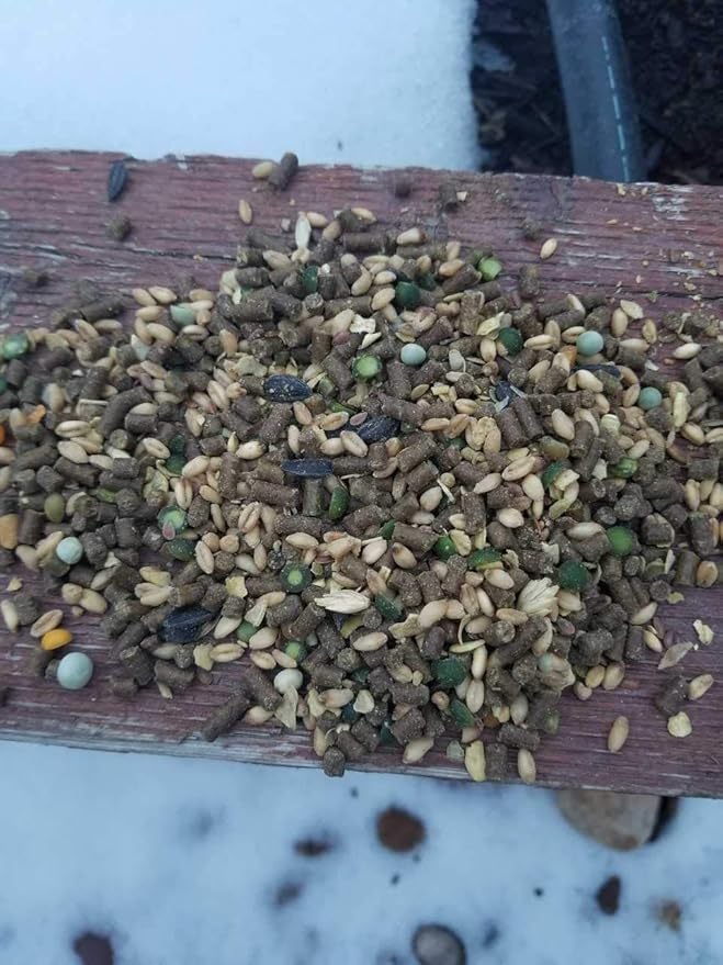 Small Pet Select Chicken Layer Feed, Non-GMO, Corn Free, Soy Free, 18% Protein,10 lb-VerdiqueGarden