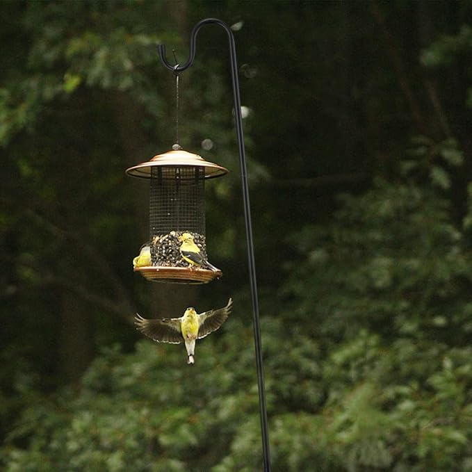 Bird Feeder Pole, 62 Inch & 5/8 Inch Diameter Stainless Steel Heavy Duty Shepherds Hooks for Outdoor to Hang Outdoor Lights with 5 Prongs Base, Rustproof for Garden Decor or Wedding Decors(Black)-VerdiqueGarden