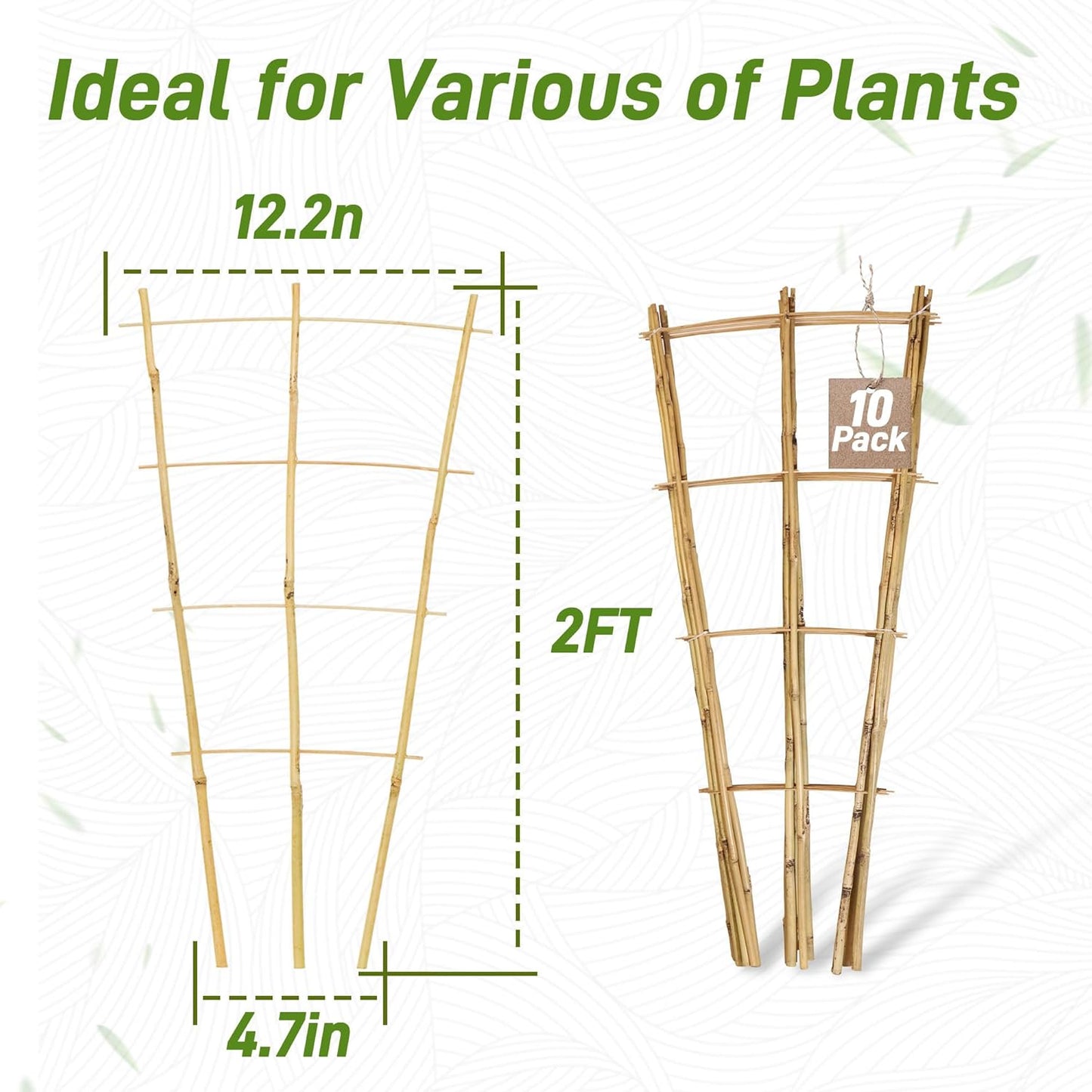 Avalution 10 Pack Bamboo Trellis for Climbing Plants, 2 FT Garden Ladder Trellis for Potted Plants Indoor, Fan-Shaped Small Plant Support Trellis for Houseplants Ivy Hoya Vine Monstera-VerdiqueGarden