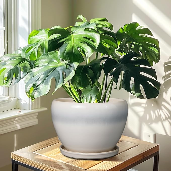 10 Inch Ceramic Planter Pot - Large Plant Pot with Drainage Hole and Saucer Round Flower Pot for Indoor Plants, White-VerdiqueGarden