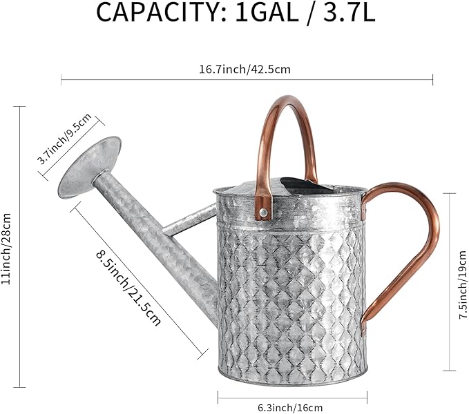 1 Gallon Metal Watering Can for Outdoor Indoor Plants, Galvanized Watering Can with Removable Spray Spout, Ideal for Garden Watering-VerdiqueGarden