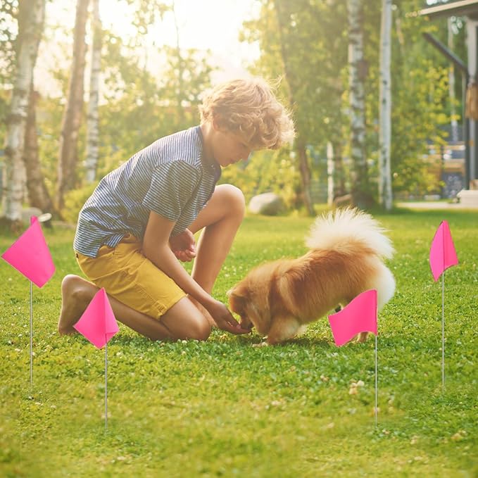 Zozen 50Pack Fluorescent Pink Marking Flags, Writable/15x4x5 Inch, Yard Flags for Lawn & Irrigation & Landscape & Sprinkler & Survey & Dog Training.-VerdiqueGarden