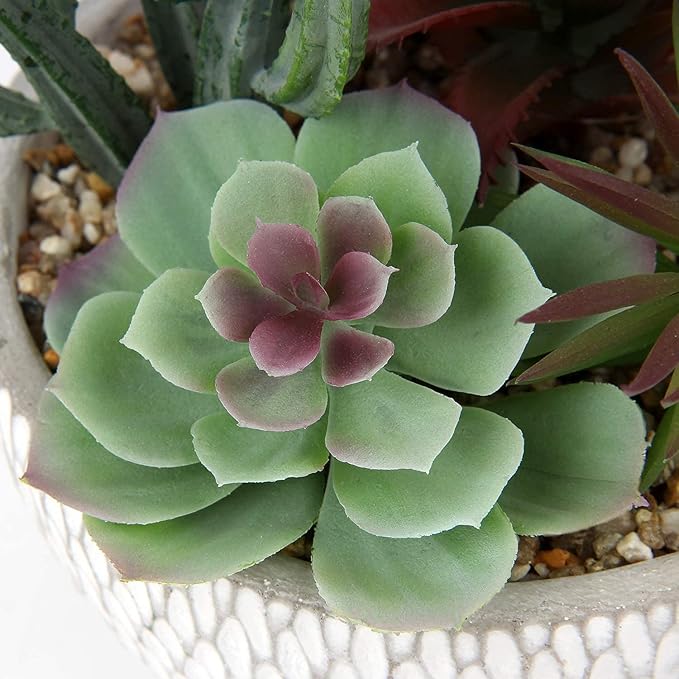 Briful Small Fake Plants Assorted Faux Succulents in Pots Realistic Succulents Plants Artificial with Cement Pots for Home Table Office Desk Bathroom Shelf Living Room Decor-VerdiqueGarden