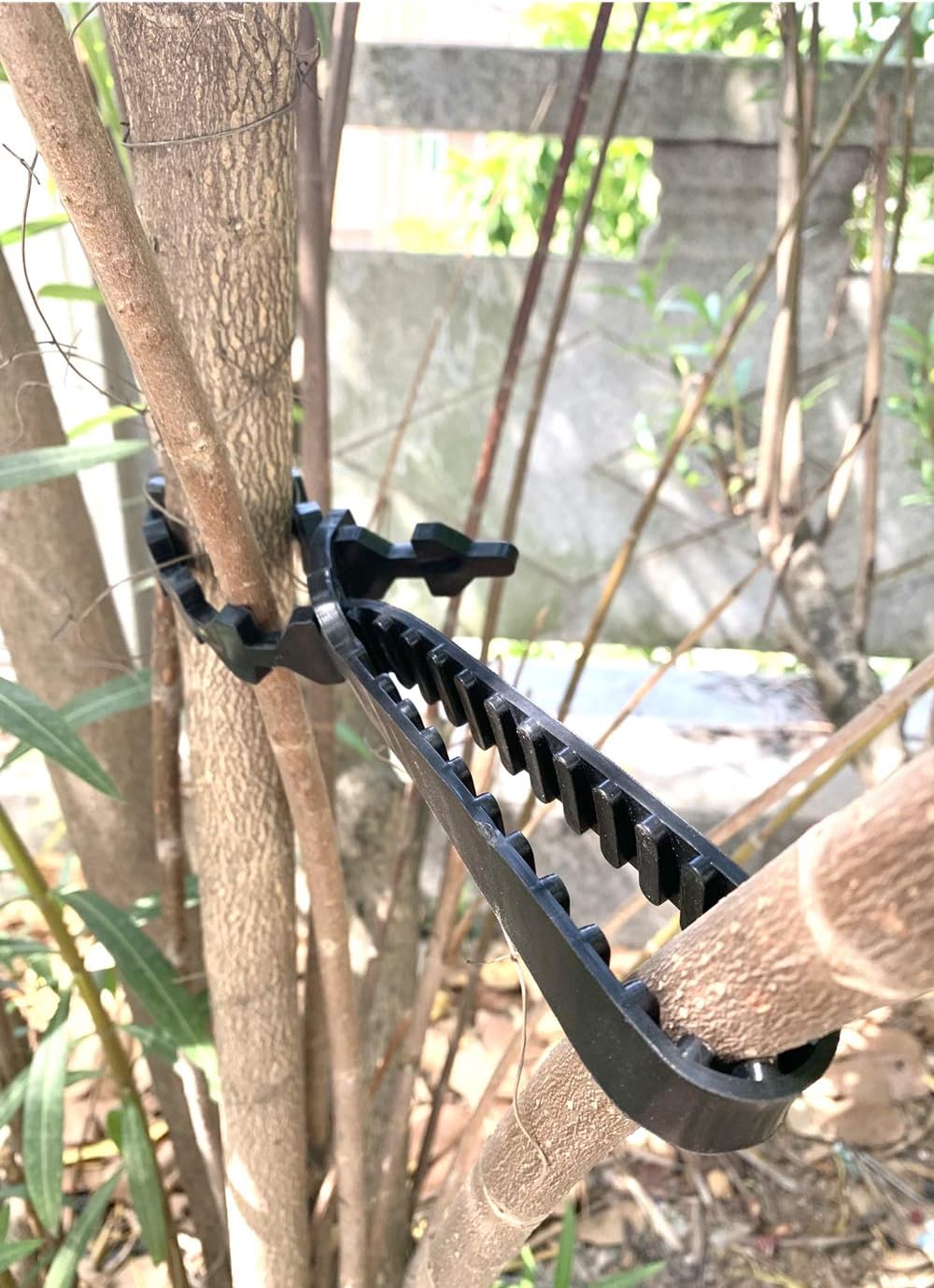 10 Pcs Tree Stake Supports Adjustable Tree Plant Ties Tree Training System, Heavy Duty Tree Stake Straps for Straightening, Reinforced Straps forTrees (5 Pcs 23.6 in + 5 Pcs 10.6 in)-VerdiqueGarden