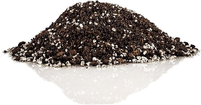 Premium Jade Plant Potting Soil Mix - (1 Quart Bag)-VerdiqueGarden