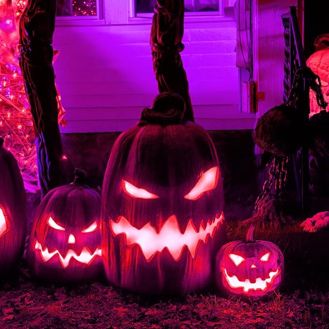 Hompavo 【Upgraded LED Flame Light Bulbs, 3 Modes Flickering Light Bulbs, E12 Chandelier Base Candle Fire Light Bulb for Halloween Christmas Party Porch Indoor & Outdoor Home Decoration, Purple 6 Pack-VerdiqueGarden