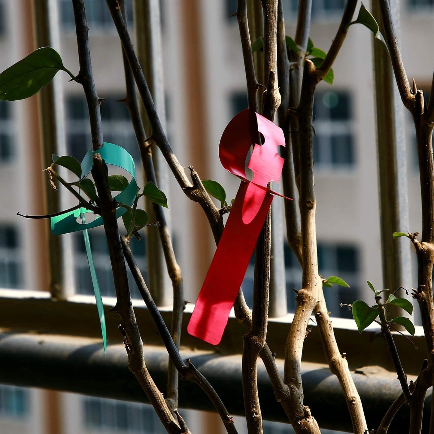 KINJOEK 1200 PCS Red Plant Labels Tags, Plastic Adjustable Wrap Around Waterproof Hanging Garden Tree Tags Plant Loop Tag for Identifying Various Outdoor Nursery Plants Flowers, 2x20cm-VerdiqueGarden