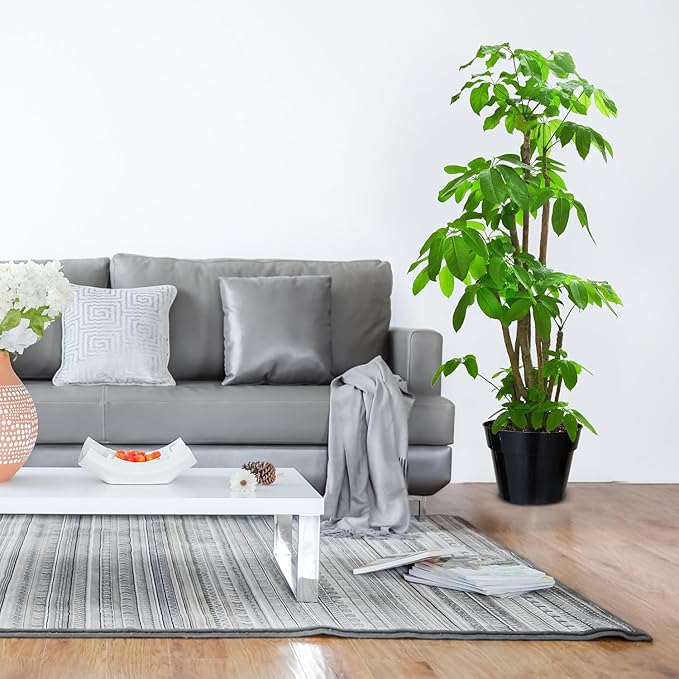 10 Inch Plastic Nursery Pots for Plants 10 Pack Plant Pots with Drainage Holes 2 Gallon Nursery Pots Perfect for Indoor Outdoor Plants Such as Herbs, Strwaberrys and Flowers, Black-VerdiqueGarden