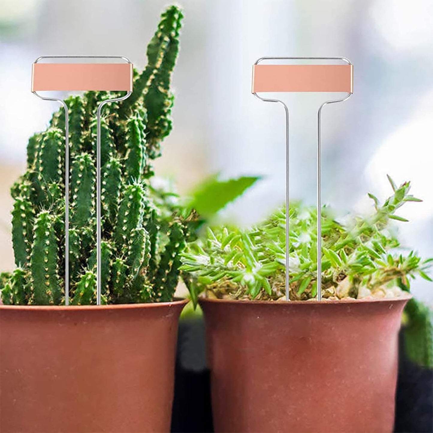 Foraineam 30 Pack 10 Inch High Copper Plate Metal Plant Labels Garden Stake Tags Reusable Planting Gardening Markers-VerdiqueGarden