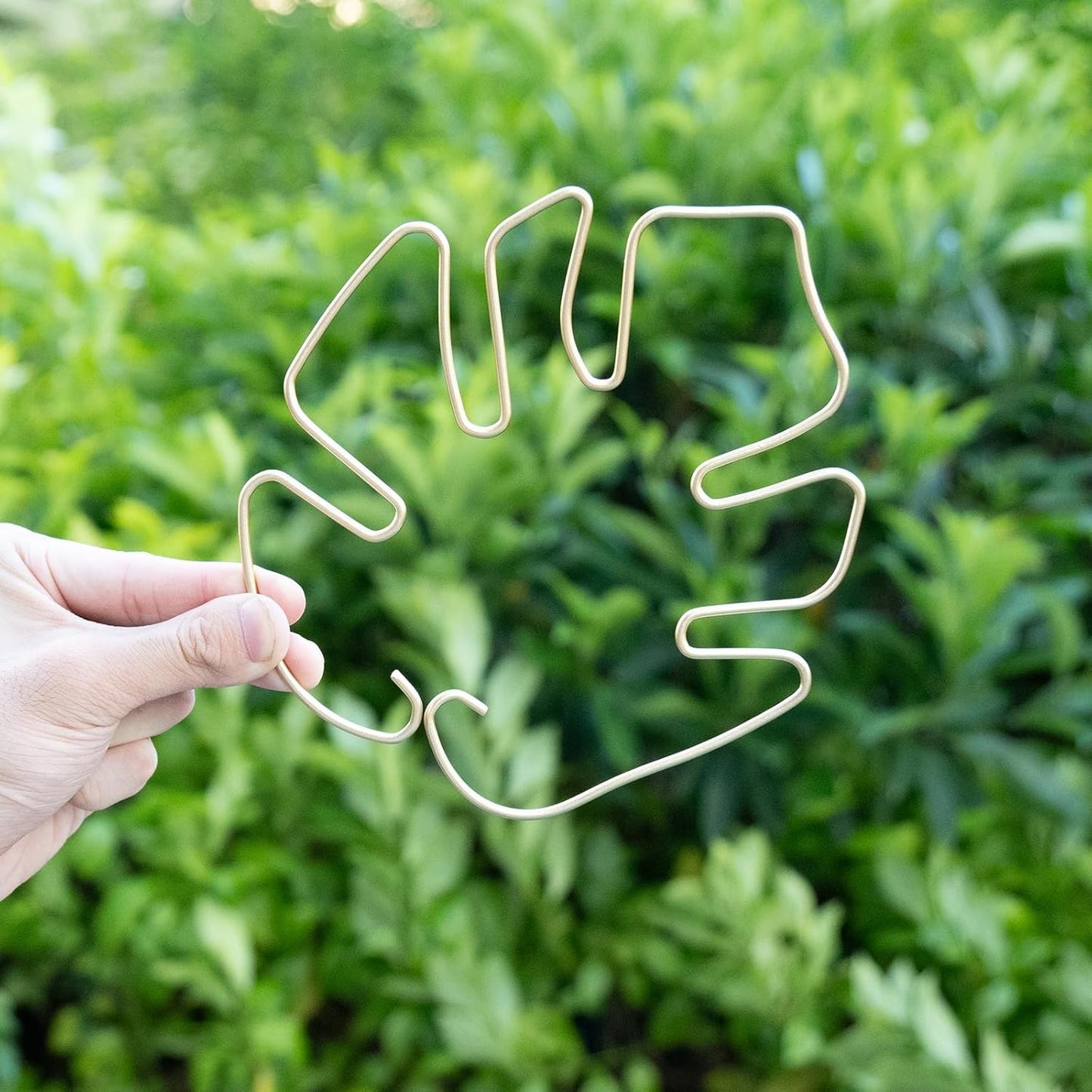 Monstera Stem Support - 5-Piece Durable Plant Support System for Monstera & Turtle Shell Plants -Premium -Quality Leaf Clamps -Easy-to-Use Indoor Garden Stabilizers for Healthy Growth-VerdiqueGarden