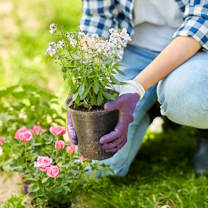 1 Gallon Reinforced Clear Nursery Pots with Drainage Hole, 30 Packs, 6.7 Inch Transparent Pots for Seedlings, Indoor/Outdoor Plants, Veggies, Flowers, and Professional Nursery Use-VerdiqueGarden