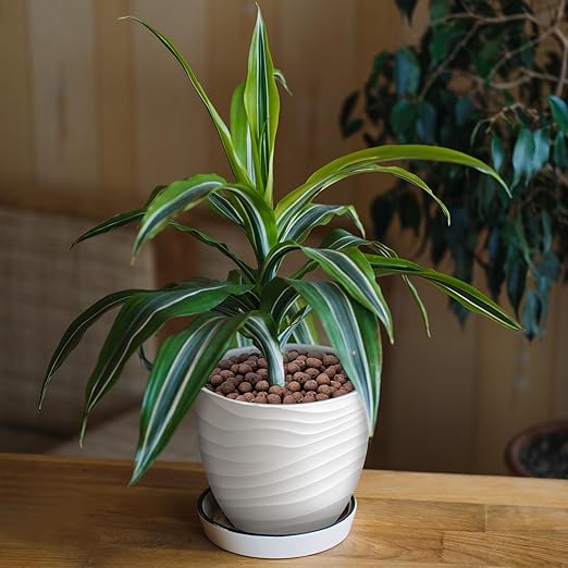 10LB Leca Clay Pebbles for Plants, Expanded Leca Balls for Indoor Plants, Orchid Potting Mix, Soil Amendment, Drainage, Easy Reusability, 4-16mm-VerdiqueGarden