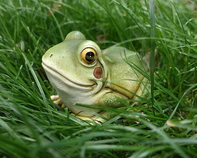 Hide a Key Frog Hand Painted Polyresin Outdoor Statue and Key Holder,Look and Feels Like a Real Frog for Yard,Garden,Patio-VerdiqueGarden