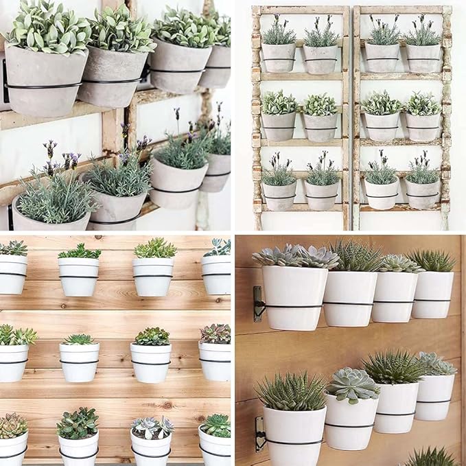 6 Pack 8in Flower Pot Holder Ring Wall Mounted Metal Planter Hooks Hangers Wall Bracket Wall Planter Hook (6, 8")-VerdiqueGarden