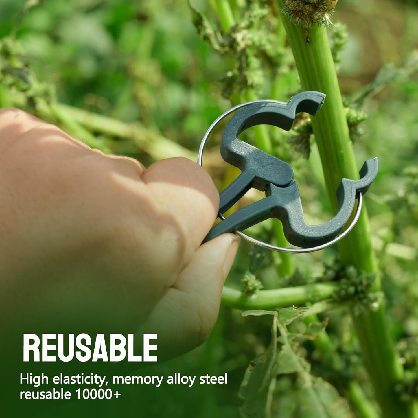 50 PCS Tomato Clips for Climbing Plants - Durable Plant Support Clips for Tomato, Cucumber, Flower, Squash Vine - 25 Large & 25 Small Clips Included-VerdiqueGarden