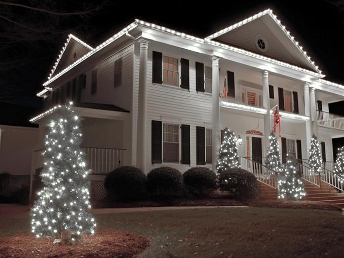 LED Rope Lights for Outside 100Ft Waterproof Rope Lighting 429 LEDs 110V 8 Modes Remote Control Timer Christmas Rope Lights for Indoor Outdoor Party Holiday Garden Decoration (White)-VerdiqueGarden